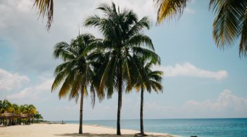 hawaii beach